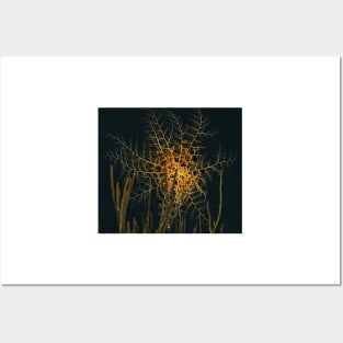 Large Sea Basket Star at Night Posters and Art